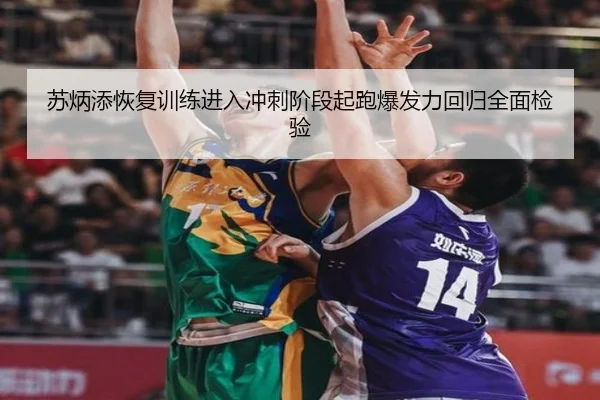 苏炳添恢复训练进入冲刺阶段起跑爆发力回归全面检验